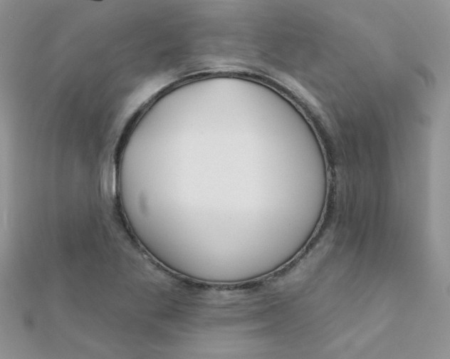 X0000112381269200909031945