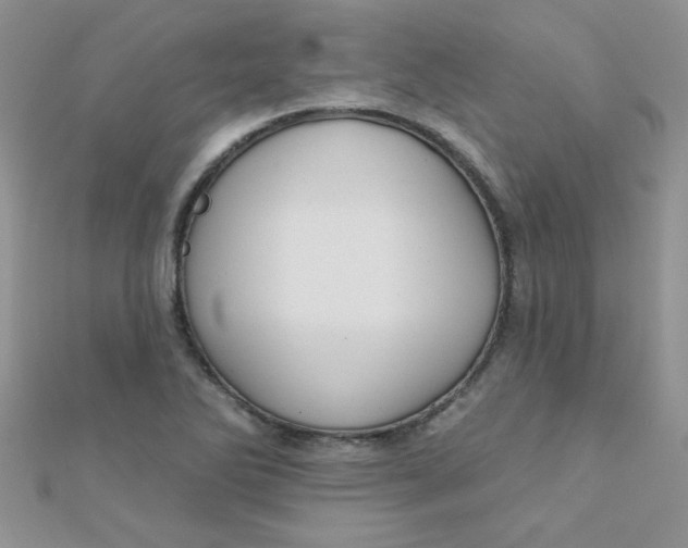 X0000112381270200909031945