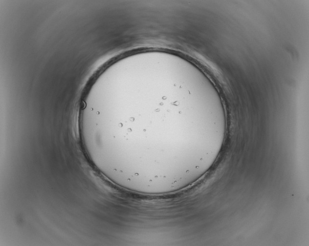 X0000112381272200909031945