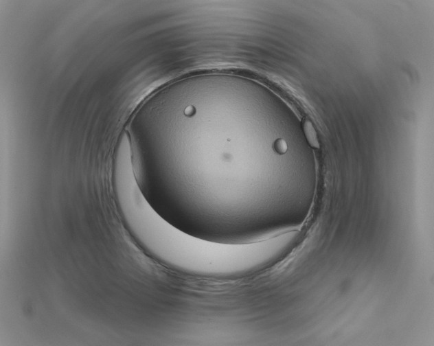 X0000112381273200909031945