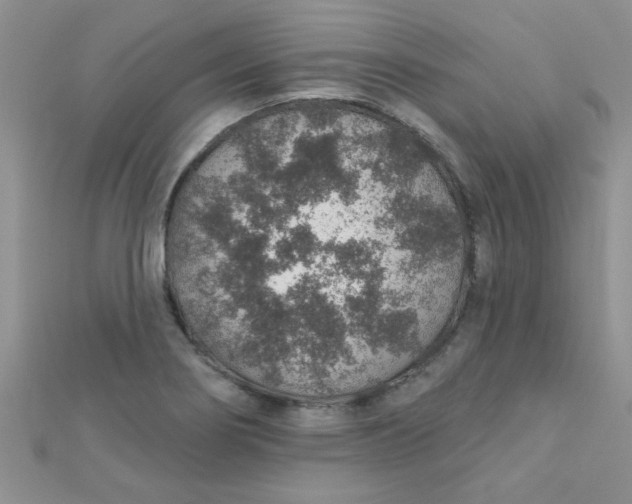 X0000112381274200909031945