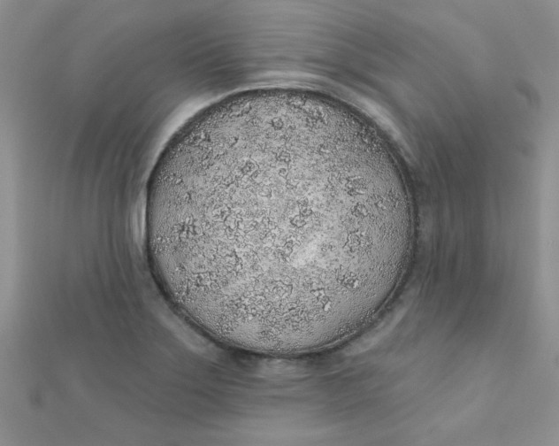 X0000112381275200909031945