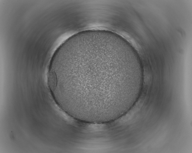 X0000112381277200909031945