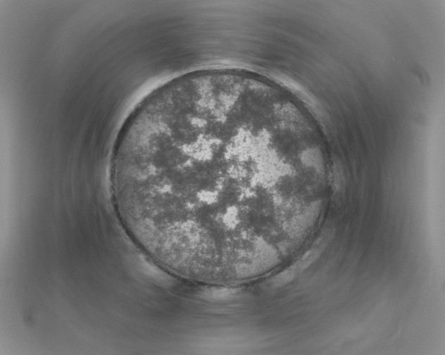 X0000112381278200909031945