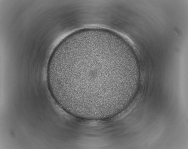 X0000112381279200909031945