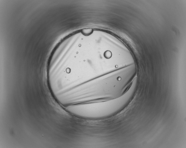 X0000112381280200909031945