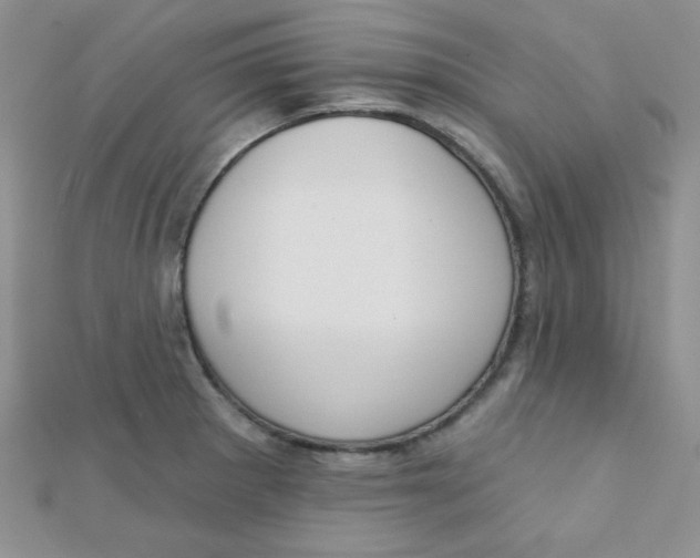 X0000112381281200909031945