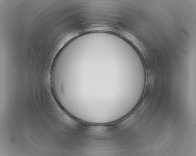 X0000112381282200909031945