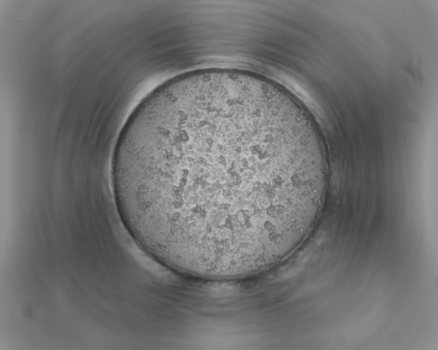 X0000112381283200909031944