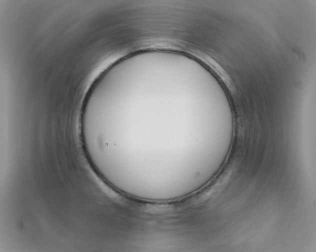 X0000112381285200909031944