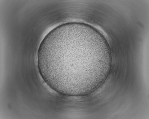 X0000112381287200909031944