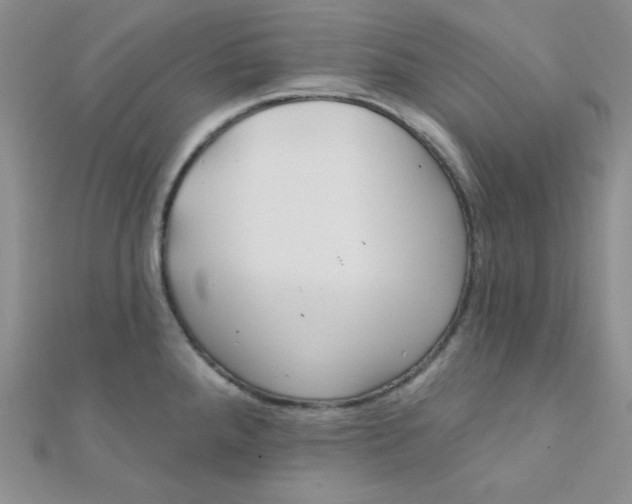 X0000112381288200909031944