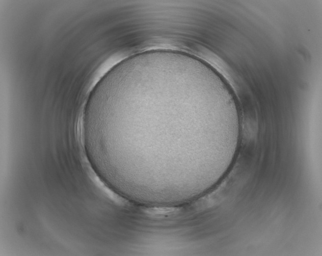 X0000112381290200909031944