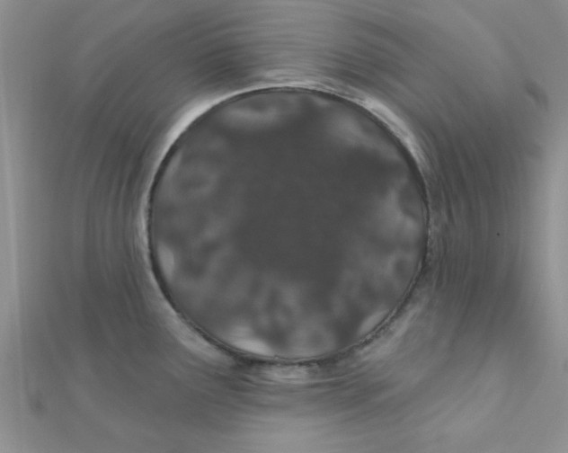 X0000112381291200909031944