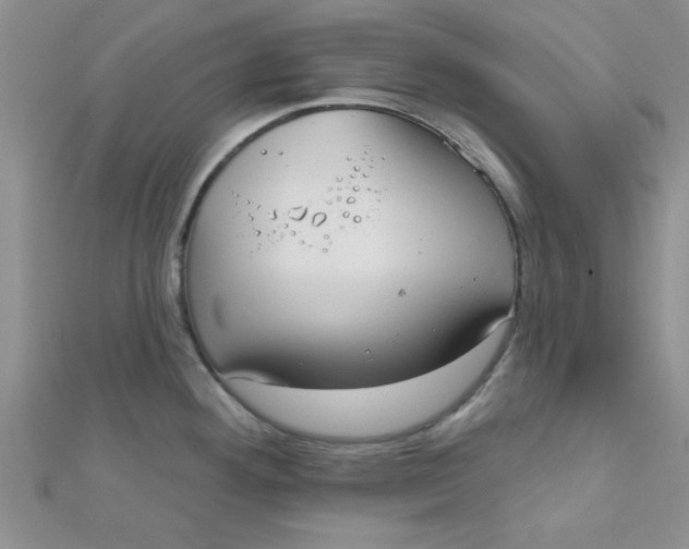 X0000112381292200909031944