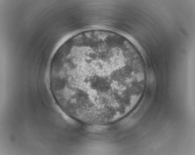 X0000112381294200909031944