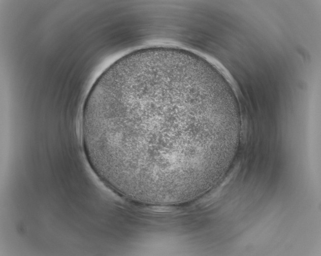 X0000112381295200909031944