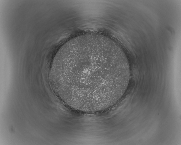 X0000112381297200909031944