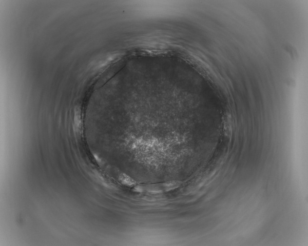 X0000112381298200909031944