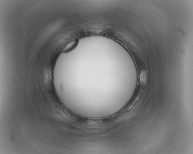 X0000112381299200909031944