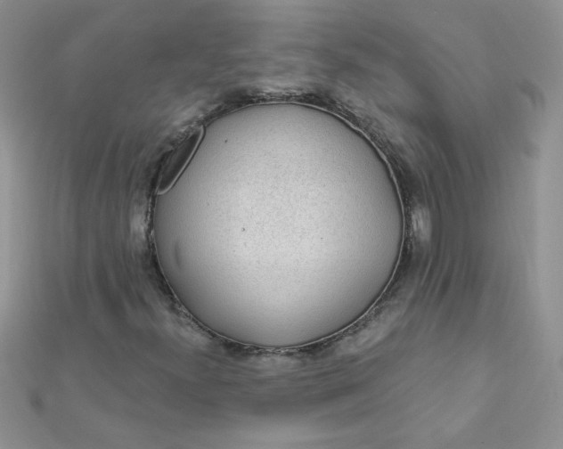 X0000112381300200909031944