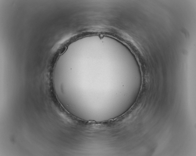 X0000112381304200909031944