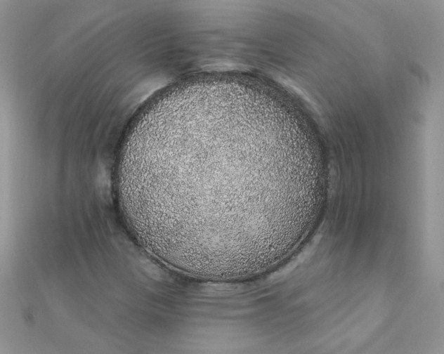 X0000112381305200909031944