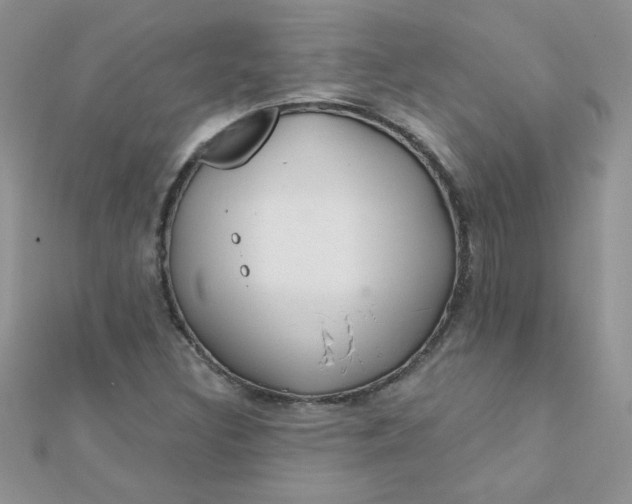 X0000112381308200909031944