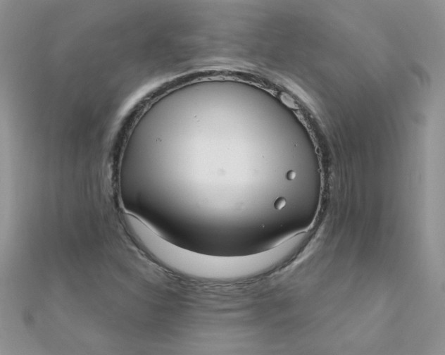 X0000112381310200909031944