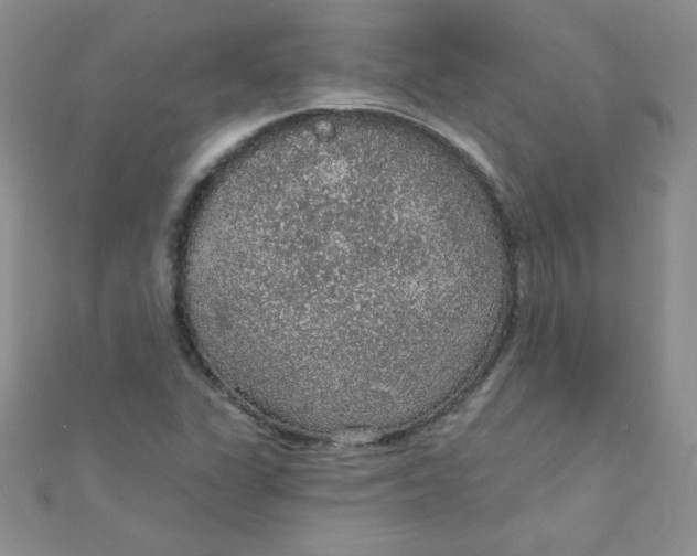 X0000112381311200909031944