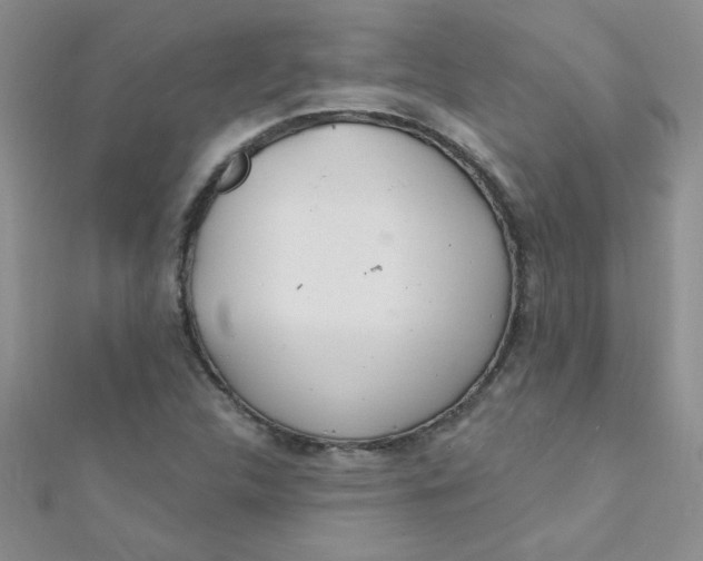 X0000112381312200909031944