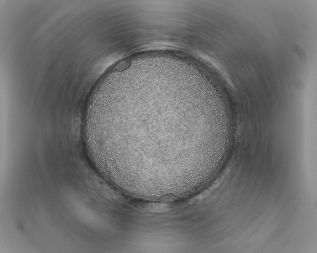 X0000112381313200909031944