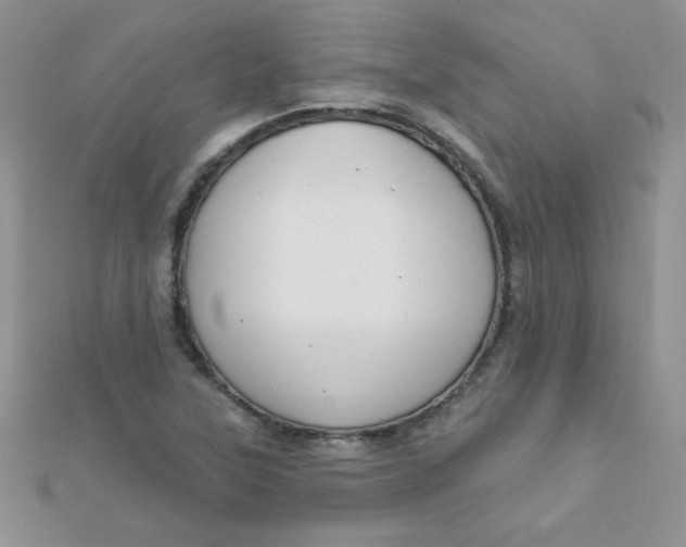 X0000112381315200909031944