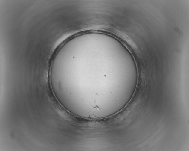 X0000112381316200909031944