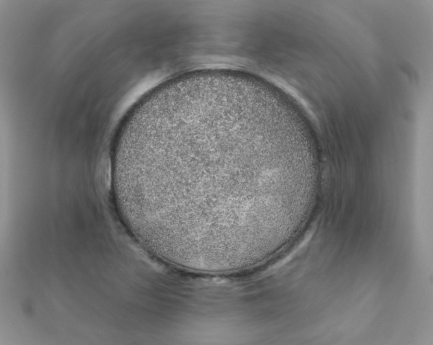 X0000112381317200909031944