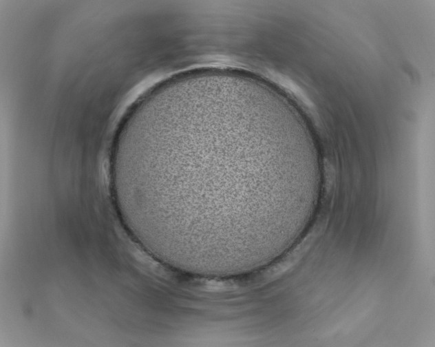 X0000112381318200909031944