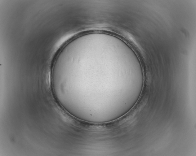 X0000112381320200909031944