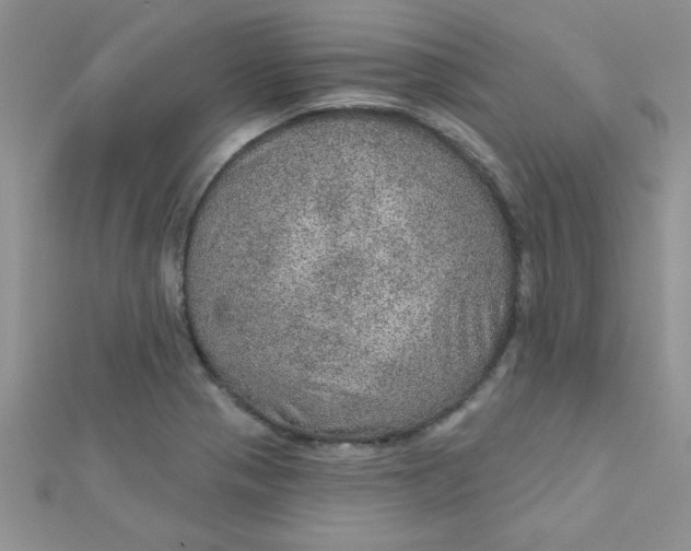 X0000112381321200909031944