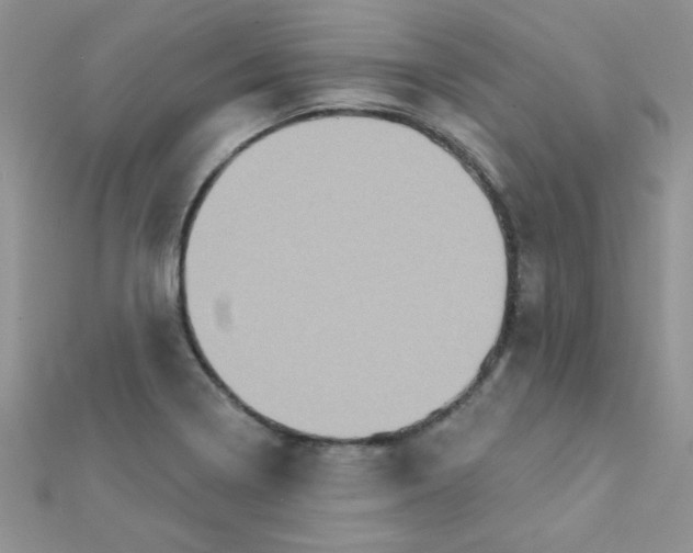 X0000112381322200909031944