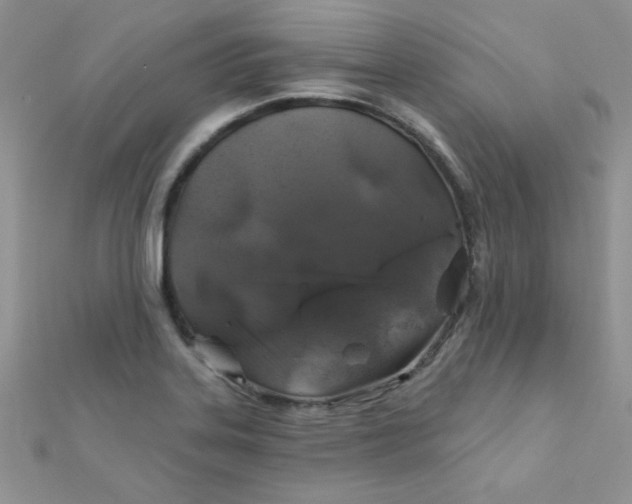 X0000112381323200909031944