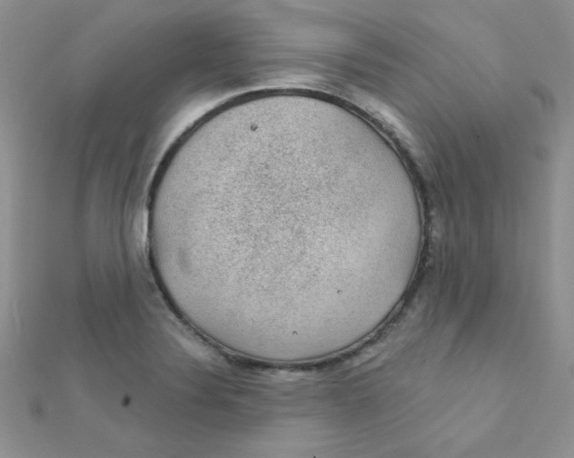 X0000112381324200909031944