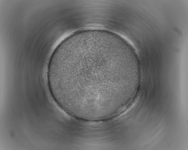 X0000112381325200909031944