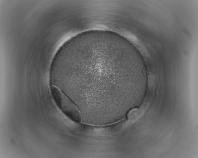 X0000112381326200909031944