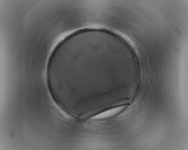 X0000112381327200909031944