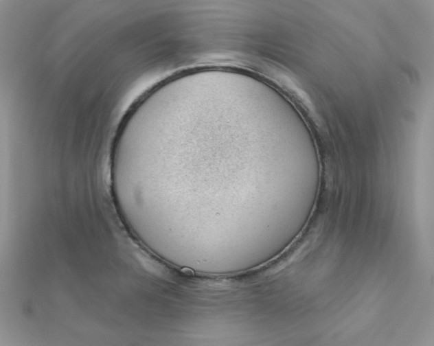 X0000112381328200909031944