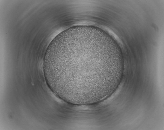 X0000112381329200909031944