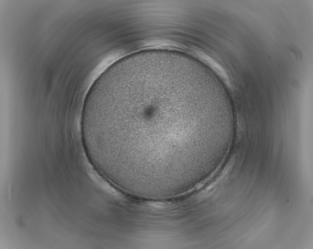 X0000112381330200909031944