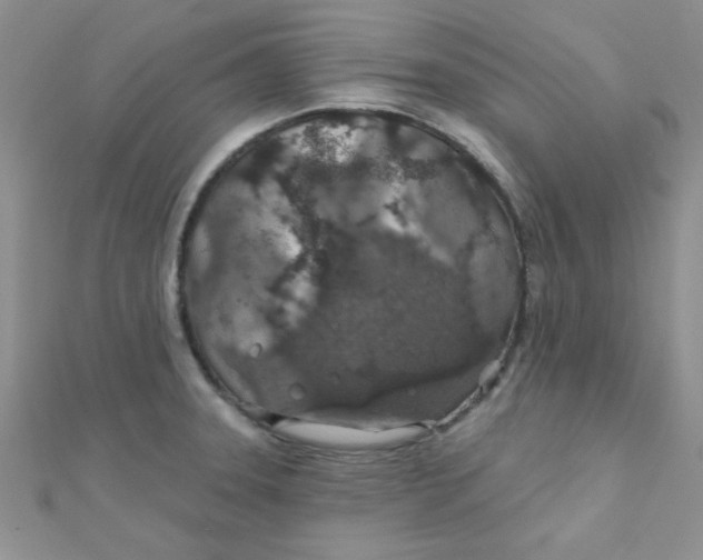 X0000112381331200909031944