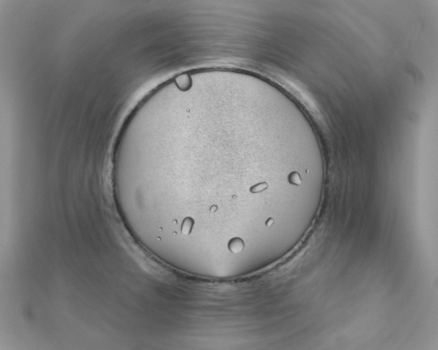 X0000112381332200909031944