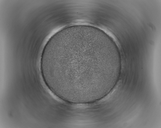 X0000112381333200909031944